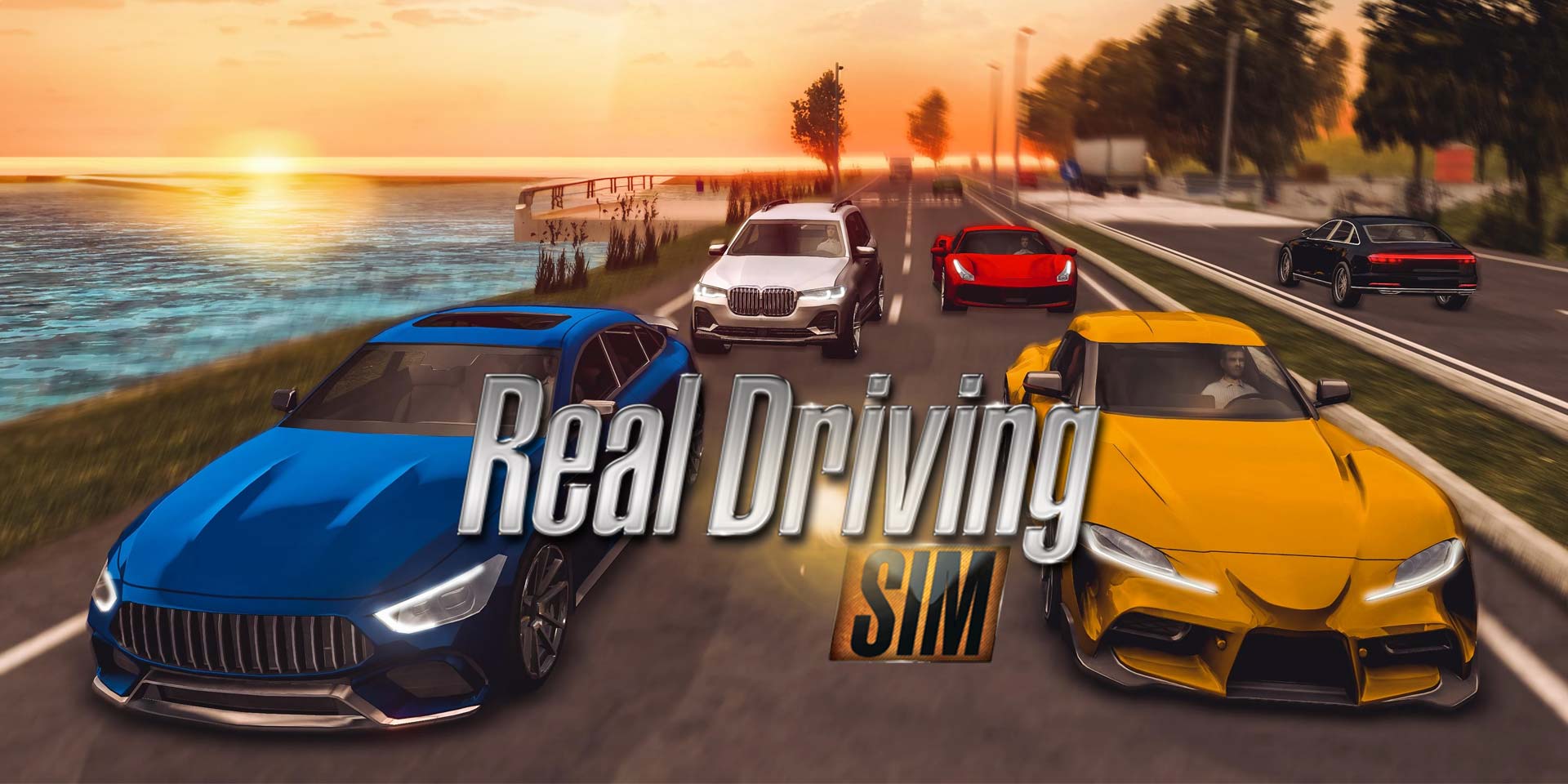 real-driving-simulator